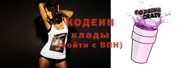 apvp Бородино