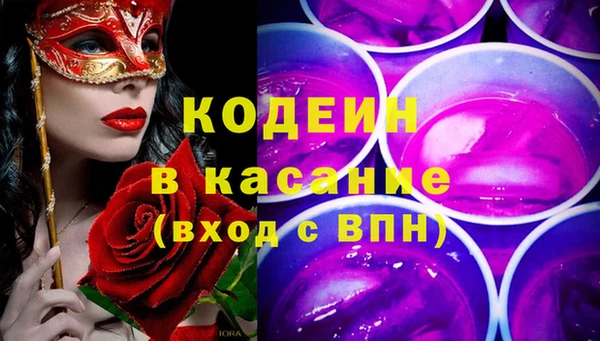apvp Бородино