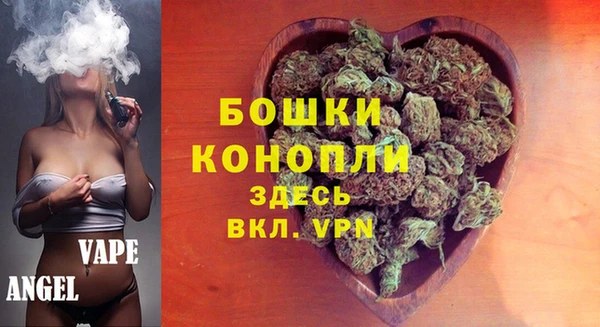 apvp Бородино